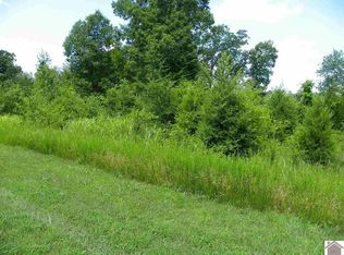 000 Palmer Dr, Benton, KY 42025