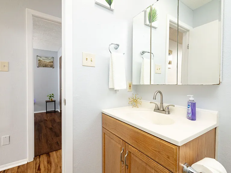 Well-lit vanity area with plenty of storage and a large mirrored medicine cabinet.