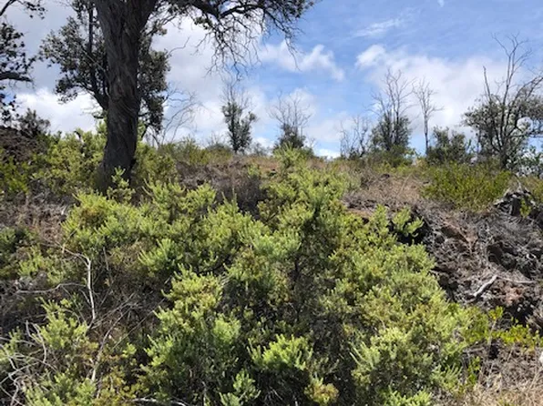 Trade Wind Blvd Lot 17, Ocean View, HI 96737