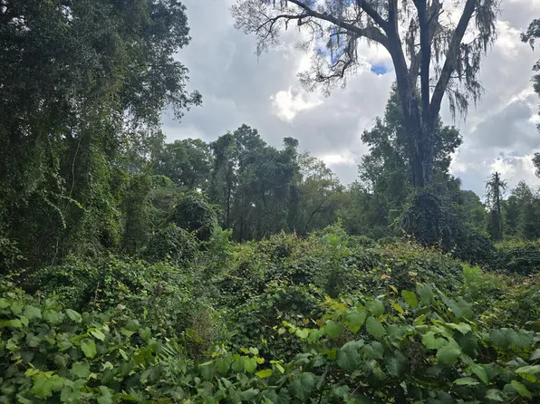  SE 225th Dr, Hawthorne, FL 32640