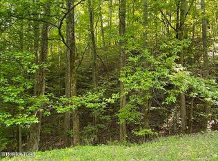 336-342 Omega Dr, Spring City, TN 37381