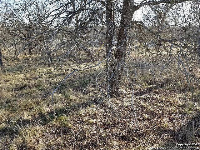 2nd image of 136 Elm Country Dr