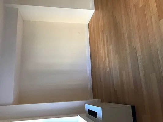 Rented by NY Living Solutions | media 2