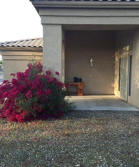 13641 S 47th St — Photo 27