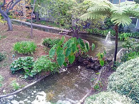 Willow Springs Apartments — Photo 4