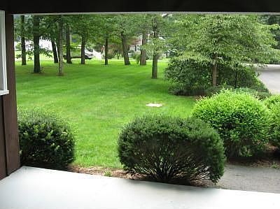 view from front porch