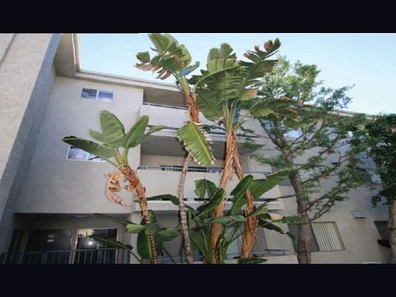 5th image of 13951 Moorpark St APT 305