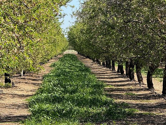 2nd image of 6009 S Whitworth Rd