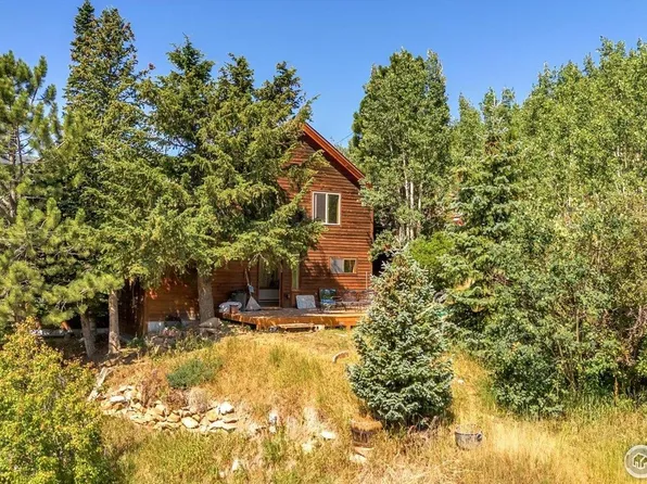 57 Nelson St, Ward, CO 80481