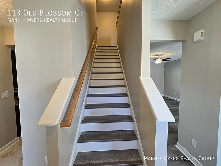 113 Old Blossom Ct — Photo 21