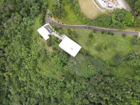State Highway 715, Cayey, PR 00736
