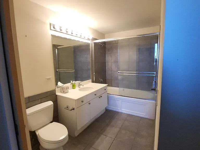 1720 S Michigan Ave #2117 — Photo 3