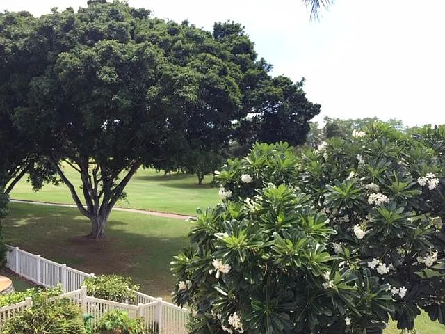 Aliinui Dr — Photo 38