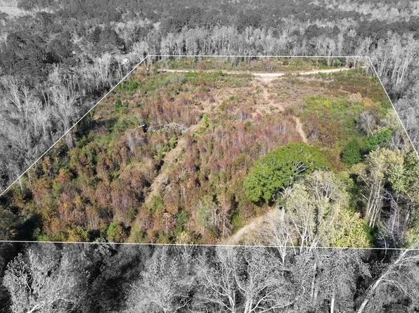 0 George Strickland Rd, Claxton, GA 30417