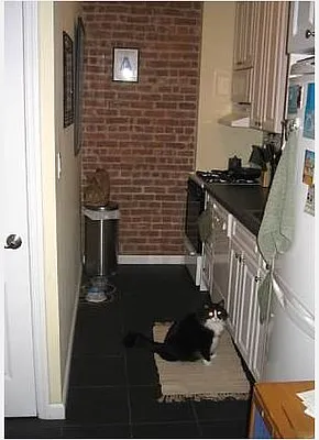 Rented by Aysaac Allen LLC | media 39