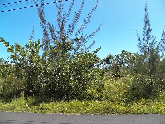 2nd image of 1st Avenue Akala Lot 2975