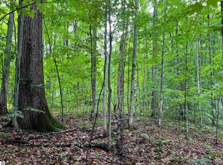 4656 E Circle Dr NE, Kalkaska, MI 49646