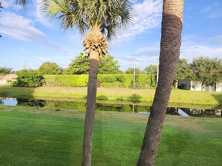 View from the second bedroom.