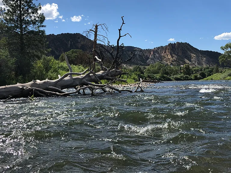 Roaring Fork River just a 5 minute walk from the house