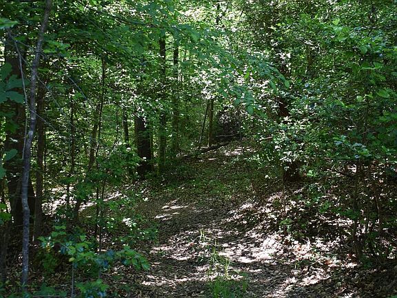 3rd image of Floyd Blackwell Rd