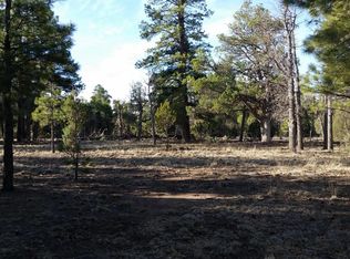 1270 Sunrise Pl, Happy Jack, AZ 86024