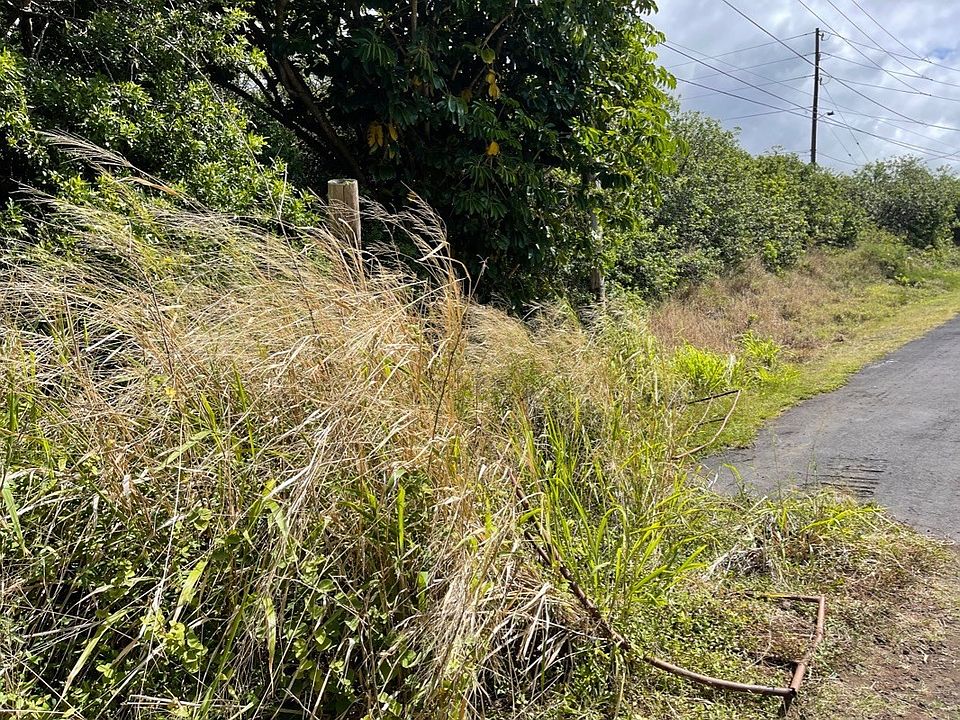 2nd image of Kahiki St Lot 686