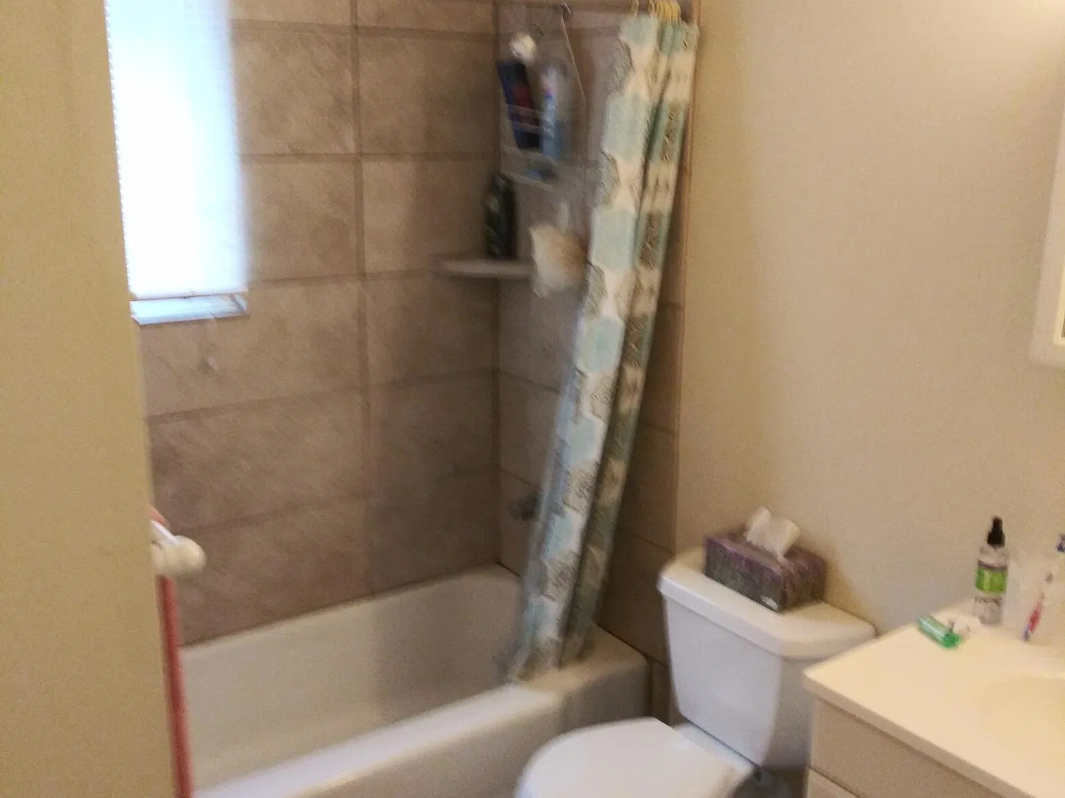 1 bed, 700 sqft, $975 — Photo 3
