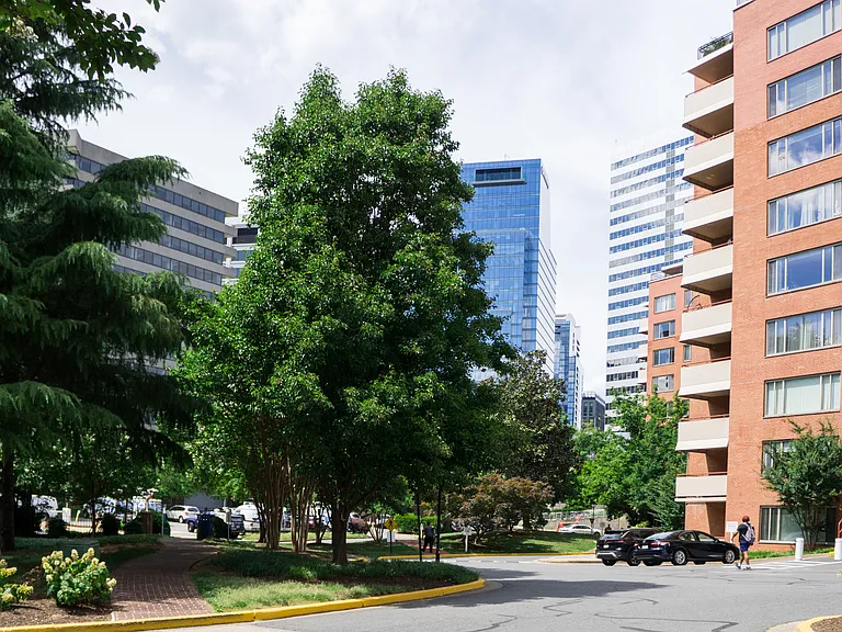 Skylines around Community