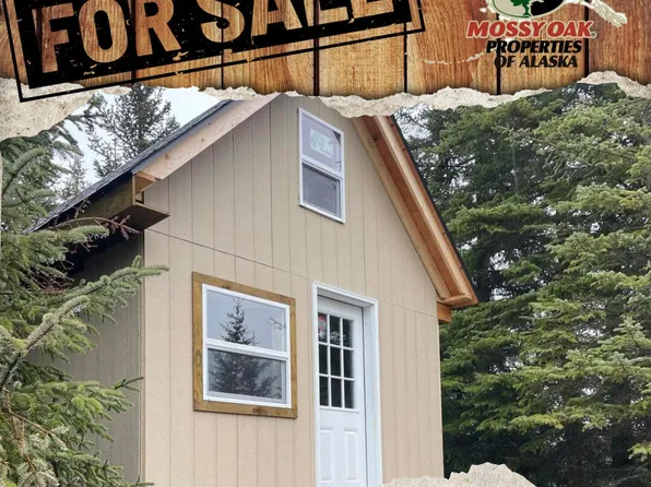 70859 Tall Tree Ave, Anchor Point, AK 99556