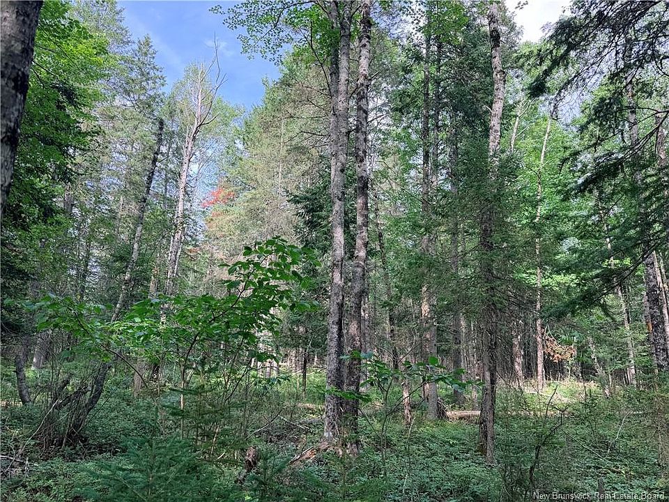 2nd image of Plumweseep Rd