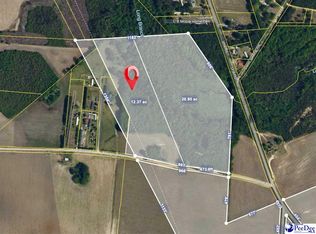 Manantiel Rd, Lamar, SC 29069