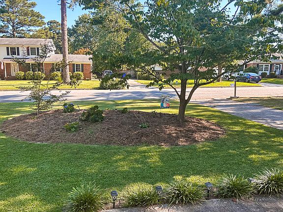 Front yard