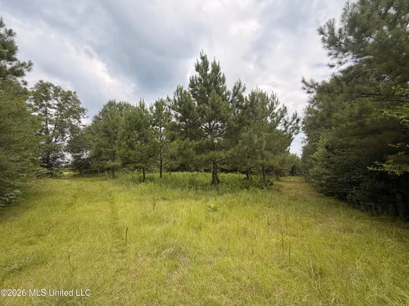 0 Bear Town Rd, Jayess, MS 39641