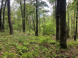 7077 Pony Lake Rd, Dahlonega, GA 30533