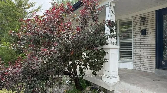 465 Hounslow Ave — Photo 3