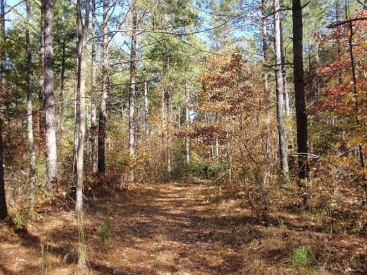 1st image of Off Hudson Chapel Rd