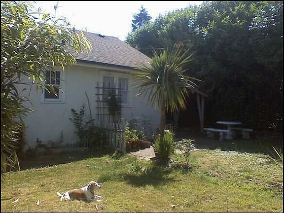 Corner lot Backyard