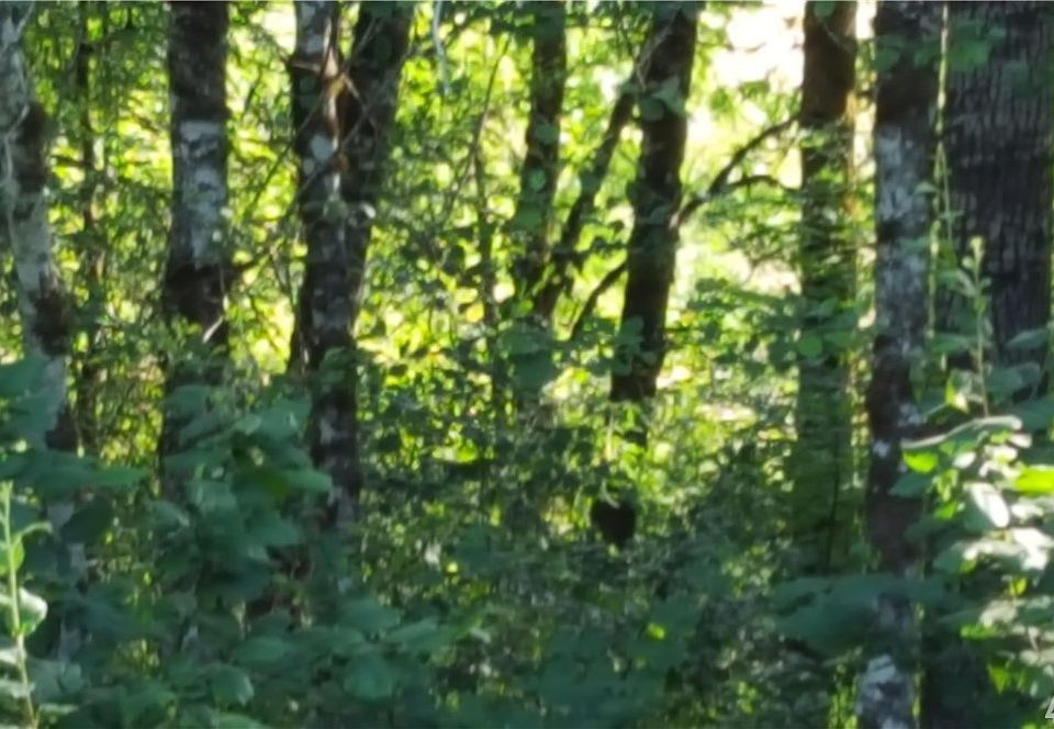 2nd image of 899 Pleasant Valley Rd