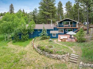 463 Pine Glade Rd, Nederland, CO 80466