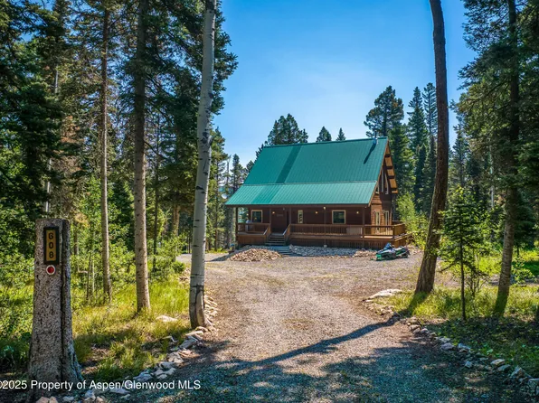608 Snowshoe Ln, Cimarron, CO 81220