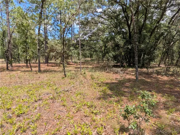 0 NW Ridgewood Rd, Dunnellon, FL 34431