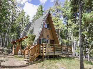 319 Deer Rd, Evergreen, CO 80439