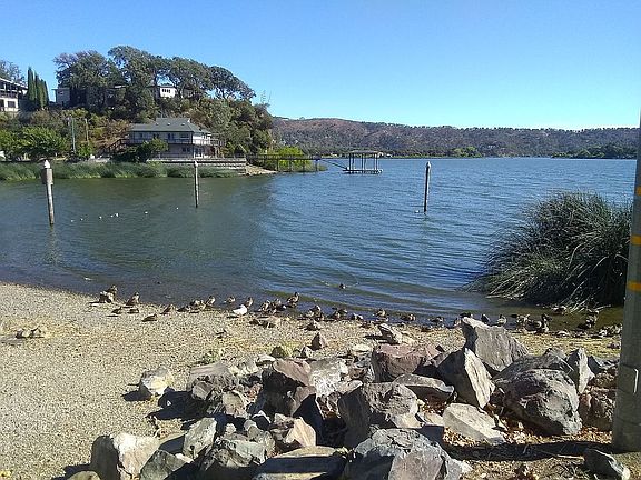 Island Park Beach, CL Oaks