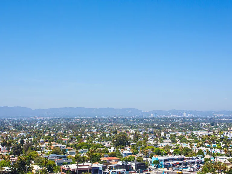 Views of the Neighborhood