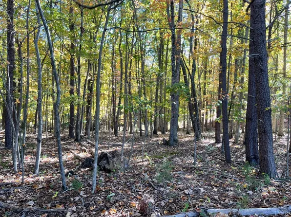 0 Leesville Rd #6, Lynch Station, VA 24571