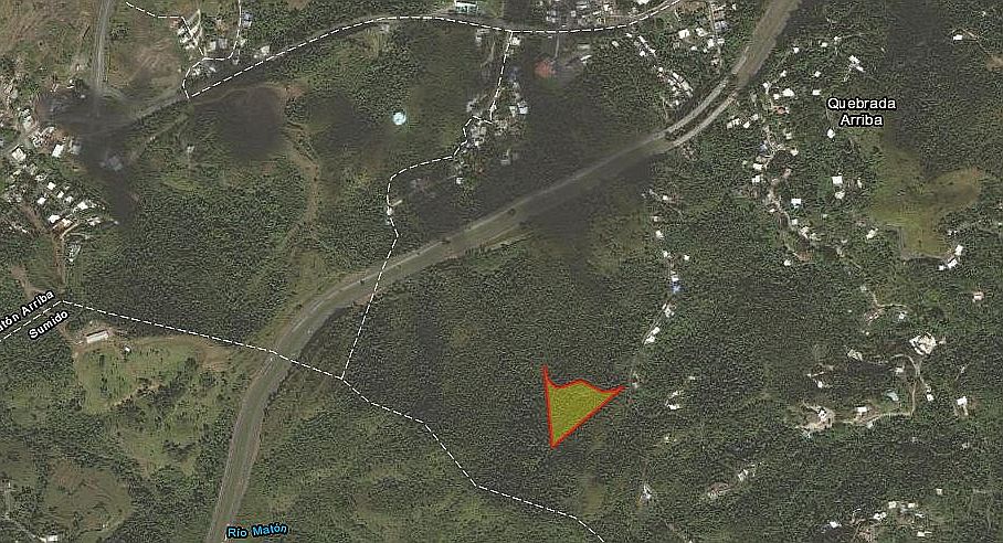 4 ACRE LOT IN CAYEY PR
