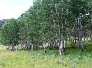143 Pipeweed Path, Westcliffe, CO 81252