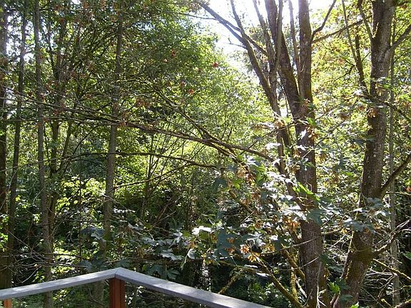 back deck 2