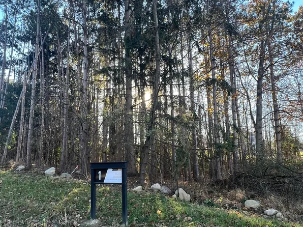 6825 Morrison Hills Ct, Dexter, MI 48130