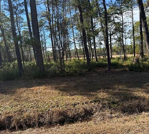 3rd image of 3671 Cactus Road